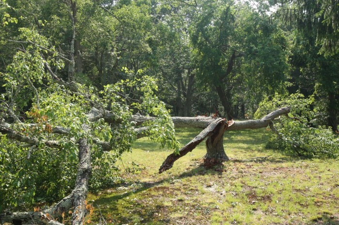 Storm damage